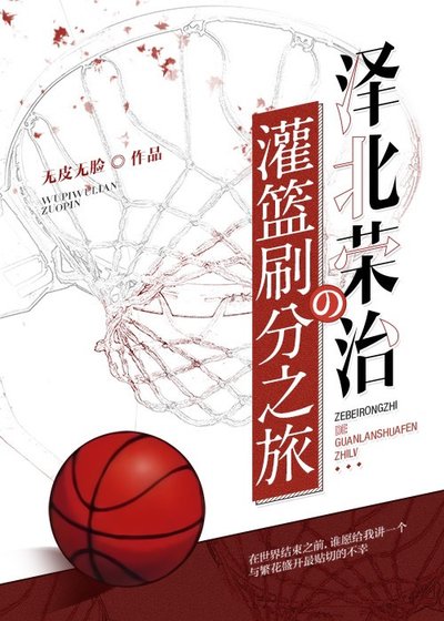 《泽北荣治的灌篮刷分之旅(SD)》