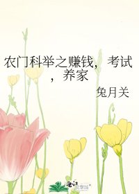 《农门科举之赚钱,考试,养家》