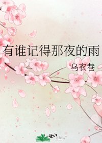《有谁记得那夜的雨》