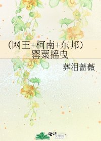 《(网王+柯南+东邦)罂粟摇曳》