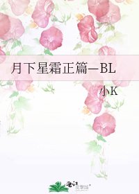 《月下星霜正篇—BL》