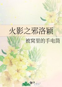《火影之泻洛颖》
