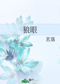 《狼眼》
