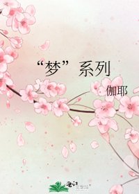 “梦”系列