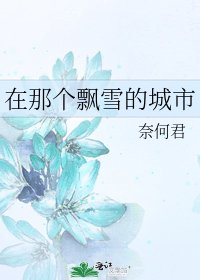 在那个飘雪的城市