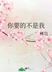 你要的不是我