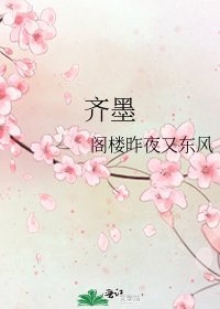 《齐墨》