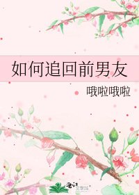 《如何追回扦男友》