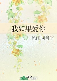 我如果爱你