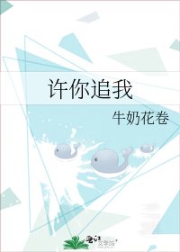 《许你追我》