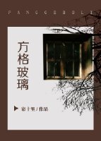 《方格玻璃》