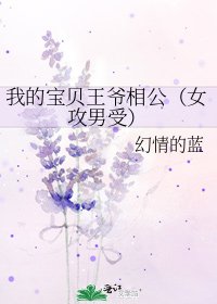 我的宝贝王爷相公（女攻男受）