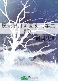 《愿无岁月可回头(第二部)》