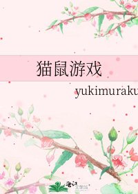 《猫鼠游戏》