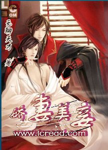 《娇妻美妾》