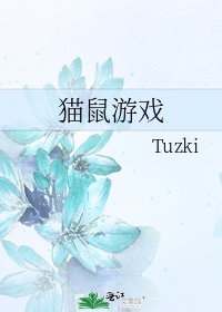 《猫鼠游戏》