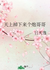 《天上掉下来个炮哥哥》
