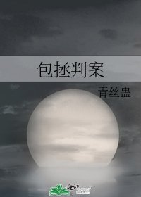 《包拯判案》