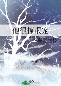 《他很撩很宠》