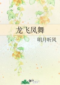 《龙飞凤舞》