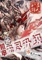 《机甲之无尽升级》