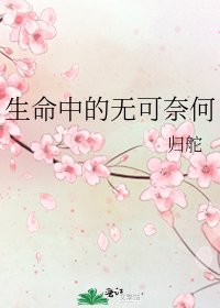 《生命中的无可奈何》