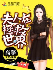 《夫人在拯救世界》