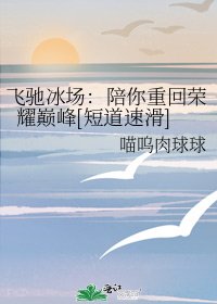 飞驰冰场：陪你重回荣耀巅峰[短道速滑]