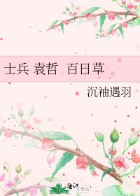 《士兵 袁哲 百日草》