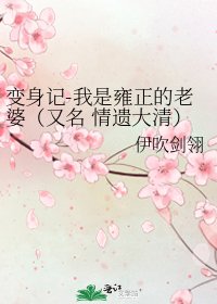 变身记-我是雍正的老婆（又名 情遗大清）