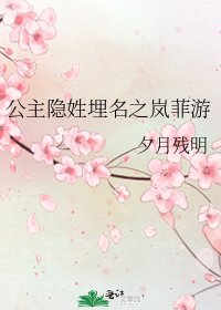 公主隐姓埋名之岚菲游