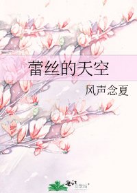 《蕾丝的天空》