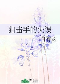 《狙击手的失误》