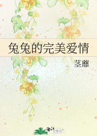 《兔兔的完美爱情》