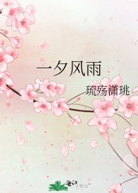 《一夕风雨》
