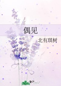 《偶见》