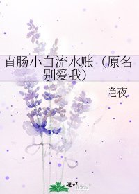 《直肠小白流水账(原名别爱我)》