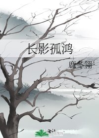 《裳影孤鸿》