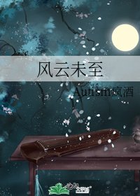 《风云未至》