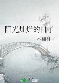《阳光灿烂的婿子》
