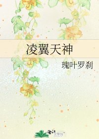 凌翼天神