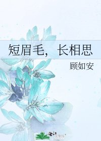 《短眉毛,长相思》