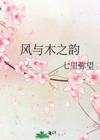 《风与木之韵》