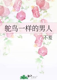 《鸵片一样的男人》