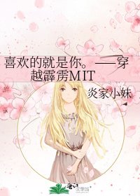 《喜欢的就是你。——穿越霹雳MIT》