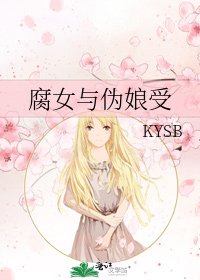 《腐女与伪娘受》