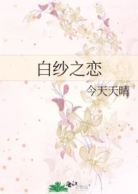 白纱之恋