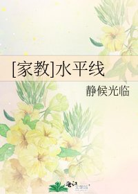 [家教]水平线
