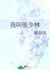 我叫张少林