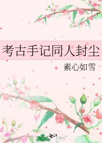 《考古手记同人封尘》